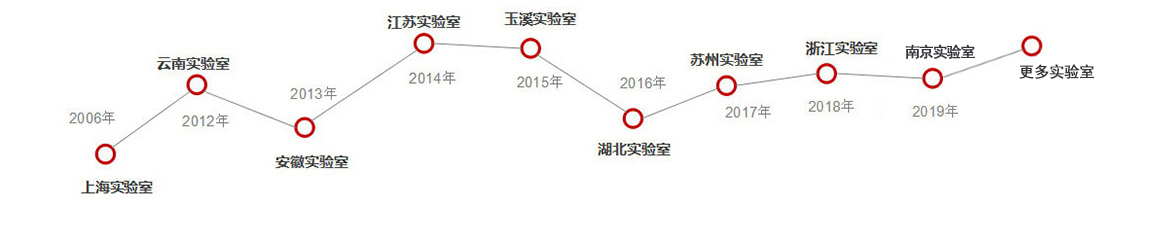 发展历程